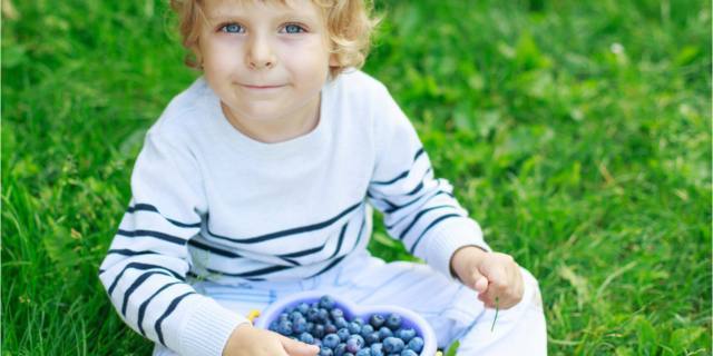 Mirtilli, un nuovo alleato contro la carie nei bambini (e non solo loro)