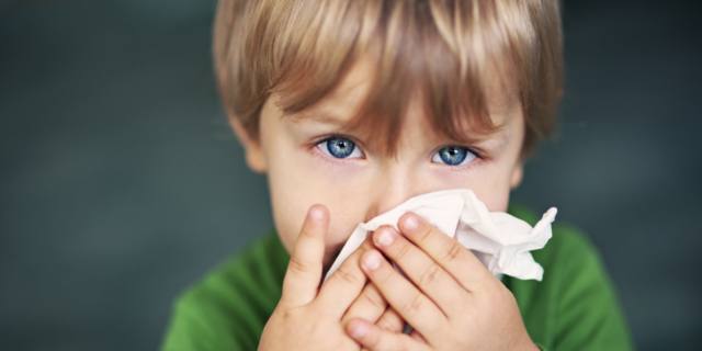 8 falsi miti su come rafforzare le difese immunitarie in autunno