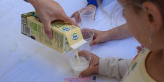 “Latte nelle scuole”: Mila vince in Trentino e non solo