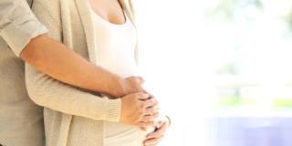 Infertilità maschile: quando serve il prelievo degli spermatozoi dai testicoli?