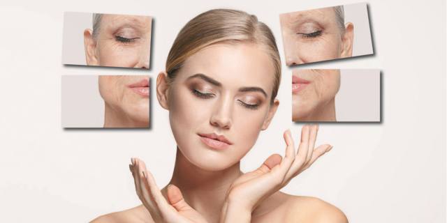 Pelle più vecchia – e indifesa – se manca il grasso