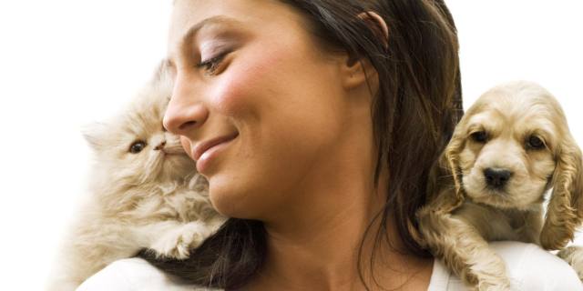 Cani e gatti all’università contro lo stress