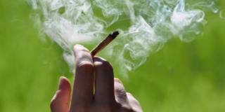 Dipendenza da cannabis: un gene aumenta il rischio