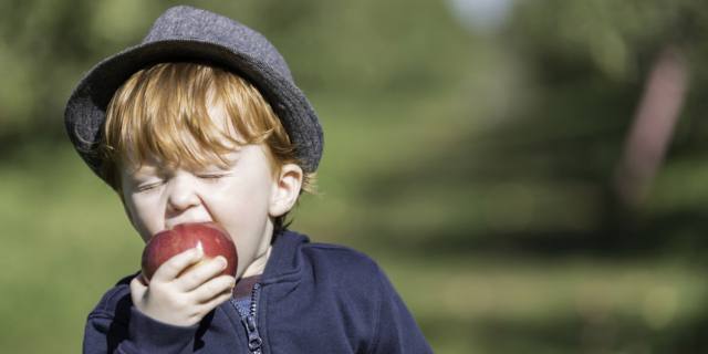 Una mela al giorno toglie davvero il medico di torno
