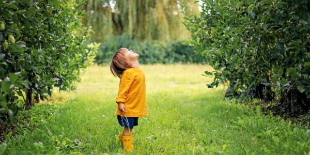 Orticolario 2019: un evento dedicato alla natura e alle famiglie