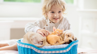 Cani e gatti: fondamentali per la crescita dei bambini