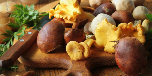 Tumore alla prostata: un aiuto dai funghi