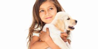 Ormone dell’amore più alto nei padroni e nei loro animali