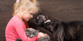 Cani e gatti contro solitudine e depressione