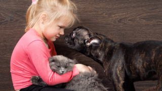 Cani e gatti contro solitudine e depressione