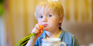 Dieta vegana nei bambini può causare danni irreversibili al cervello