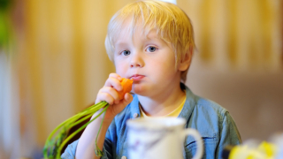 Dieta vegana nei bambini può causare danni irreversibili al cervello