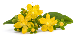 iperico ridotta iperico ridotta