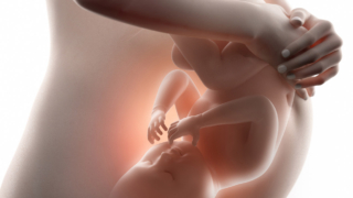 La vista dei bimbi in utero è più sviluppata di quanto si credeva