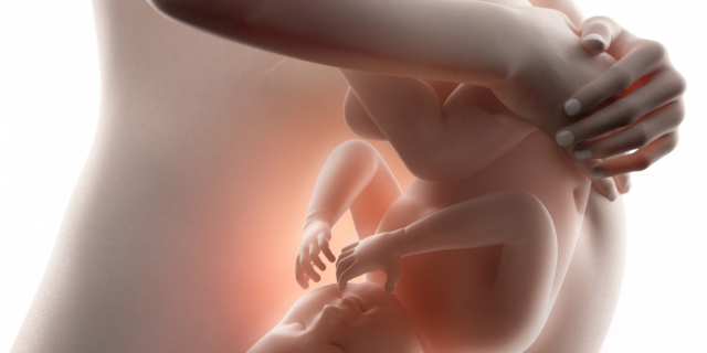 La vista dei bimbi in utero è più sviluppata di quanto si credeva