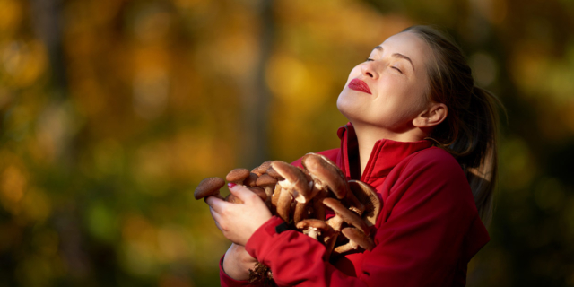 Preeclampsia, un aiuto da un antiossidante nei funghi