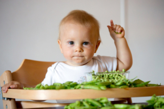 La dieta veg non fa bene ai bambini