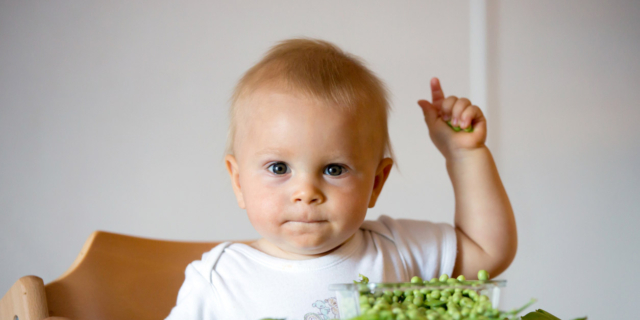 La dieta veg non fa bene ai bambini