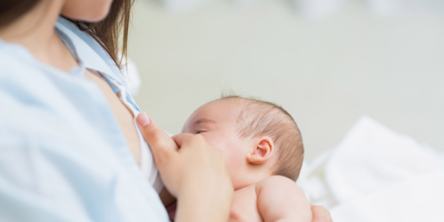 Si chiamano galattogene le erbe che aiutano ad avere più latte