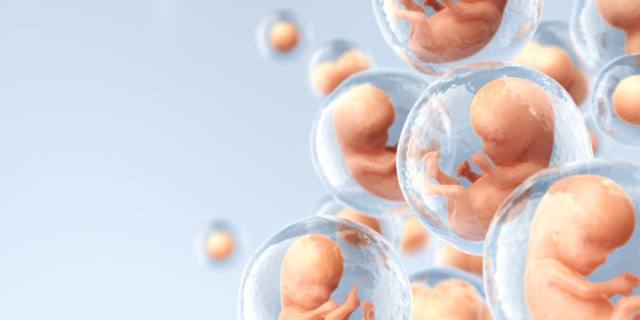 Fecondazione assistita: ora un algoritmo sceglie il miglior embrione da impiantare