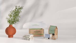 LILLYDOO int3 LILLYDOO int3