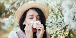 Allergie ai pollini: stagioni più lunghe e sintomi peggiori