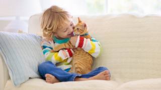 Allergia al gatto, una nuova immunoterapia può alleviarla