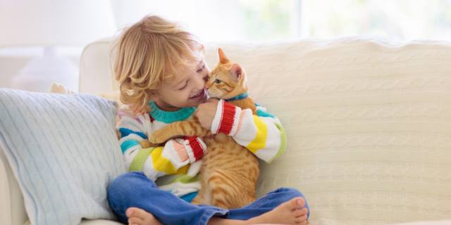 Allergia al gatto, una nuova immunoterapia può alleviarla