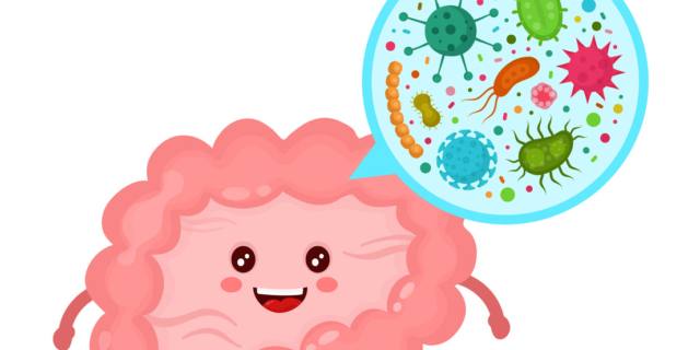 Nel cambio di stagione sostieni il microbiota intestinale con i probiotici