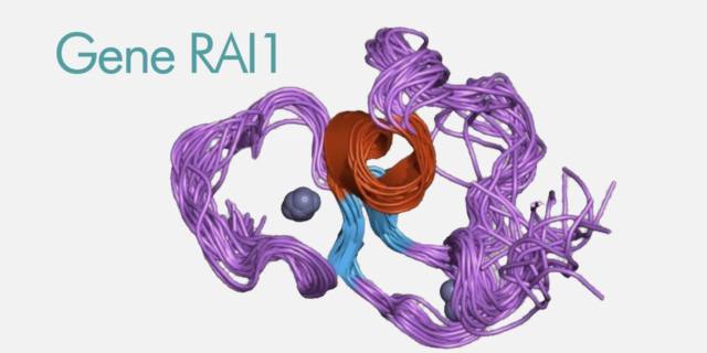 Continua la ricerca sul gene RAI1, fondamentale per l’embrione