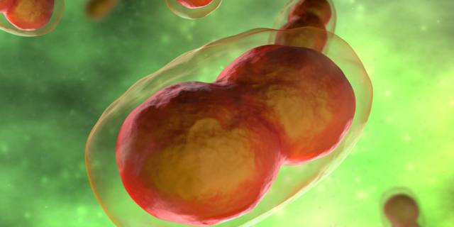 Vaiolo delle scimmie: c’è una prima vittima