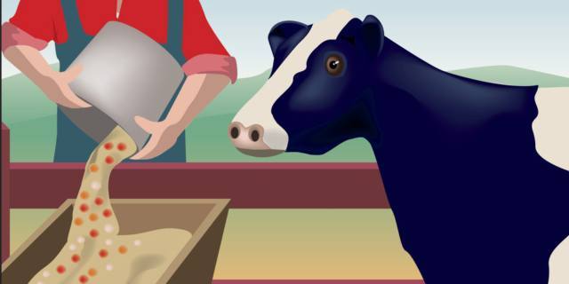 In Italia si usano meno antibiotici ma non basta