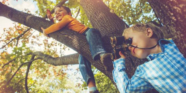 Gli alberi aiutano lo sviluppo del cervello
