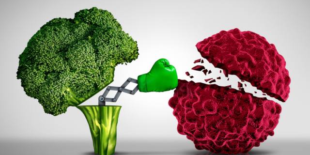 Dieta ipocalorica: forse la migliore per ridurre la crescita dei tumori