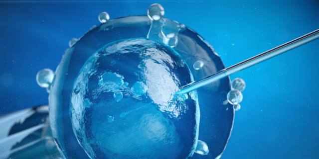 Fecondazione assistita in Italia, le tecniche disponibili