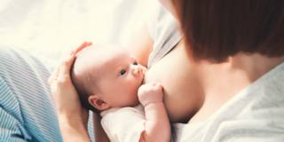 neonato e allattamento al seno