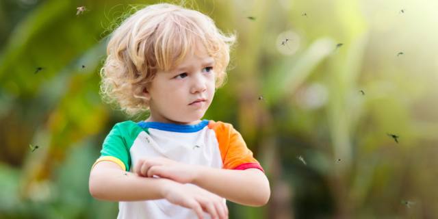 Punture di insetti, come proteggere i bambini