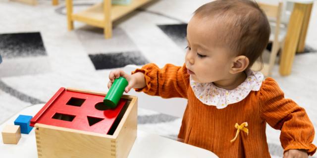 Come fare in casa la scatola per imbucare Montessori?