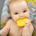 I biscotti durante lo svezzamento del neonato sono molto apprezzatic dsal bimbo