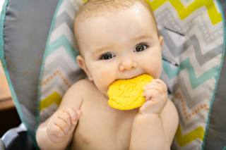 I biscotti durante lo svezzamento del neonato sono molto apprezzatic dsal bimbo