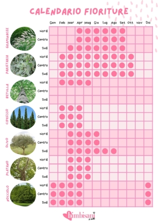Allergie stagionali: calendario fioriture