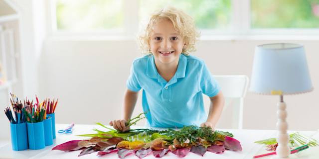 Tavolo della natura Montessori: come farlo e a cosa serve