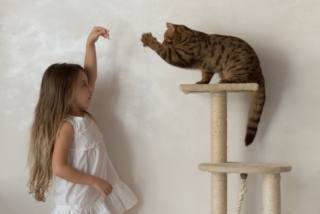 La malattia da graffio di gatto è più frequente nei bambini che giocano in maniera un po' troppo energica con il gatto, sebbene l'infezione capiti più spesso se si tratta di un gatto randagio, non è escluso che possa essere trasmessa anche dal gatto di casa