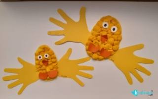 Pulcini manine Pulcini manine