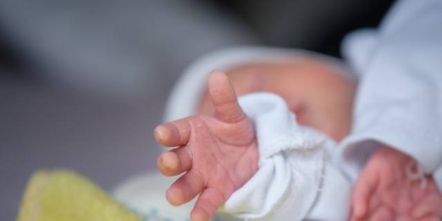 Culla termica neonatale per i piccoli abbandonati: come funziona