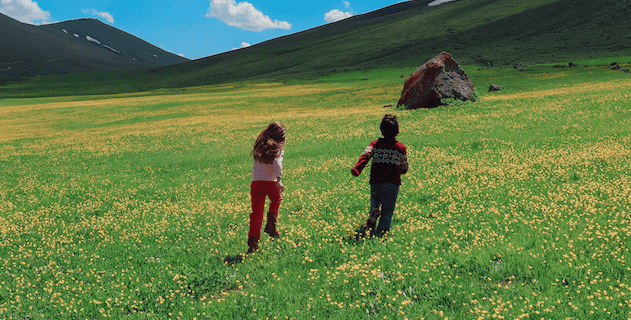 Morso di vipera, cosa fare?