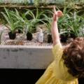 Primavera ed estate sono stagioni amate dai bambini, ma occorre fare attenzione alle zanzare e agli insetti in generale e proteggere la loro pelle delicata con i prodotti giusti prima e dopo la puntura