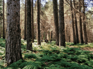 campi estivi avventurosi campi estivi avventurosi