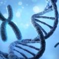 La sindrome di Kabuki è una malattia rara dovuta a un'alterazione genetica che si verifica quasi sempre nelle primissime fasi della gravidanza
