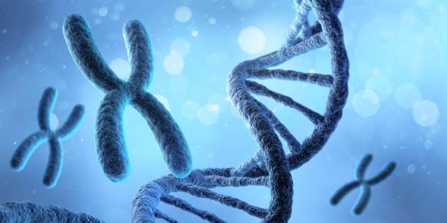 Sindrome di Kabuki: cause, sintomi e cura